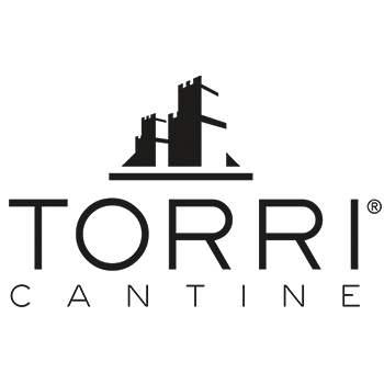 logo torri