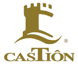 castion logo