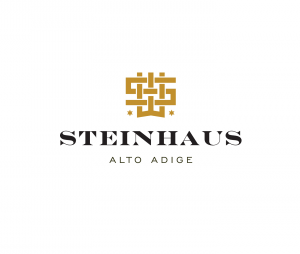 steinhaus logo