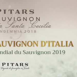 pitars_premio sauvignon 2019