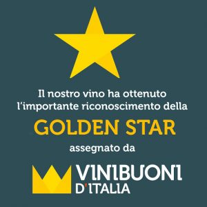 vinibuoni ditalia-golden stars