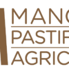 mancini pastificio agricolo