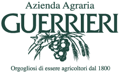 logo guerrieri